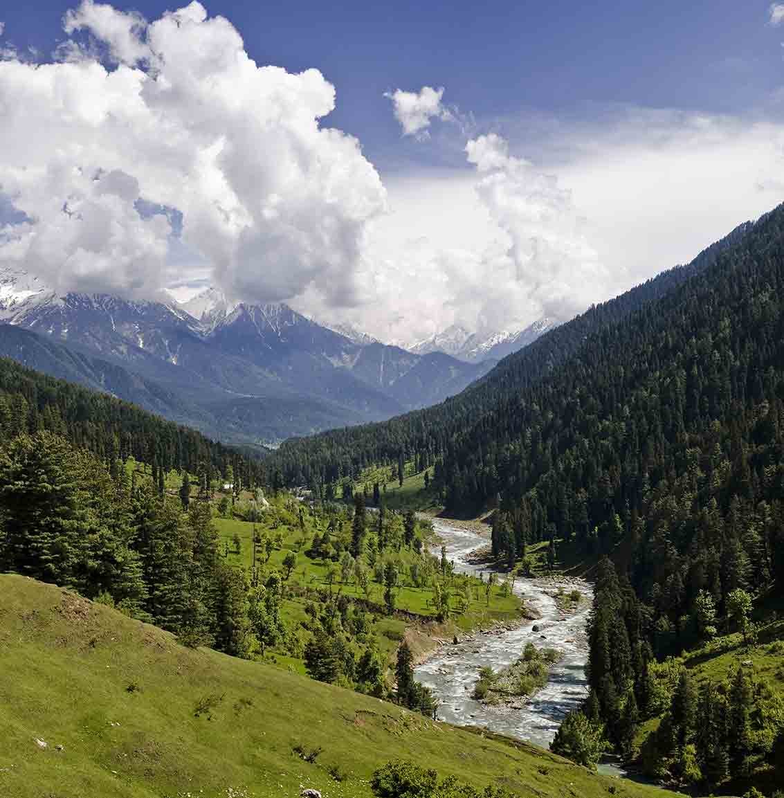 Kashmir